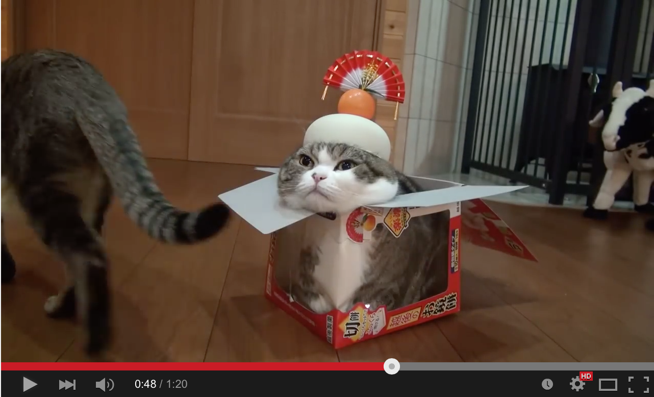 鏡もち箱とねこ かわいい子ネコ の癒される動画 癒しネコ動画 Part８ いかにして クラクラ を攻略するのかを考察するブログ